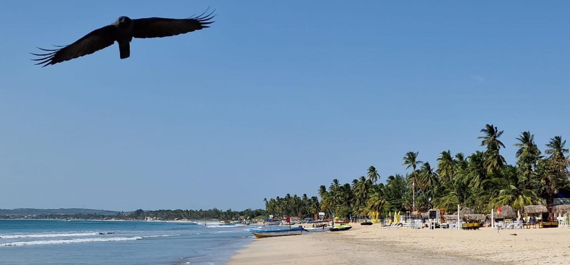 Lucky Beach Resort Trincomalee Exterior photo